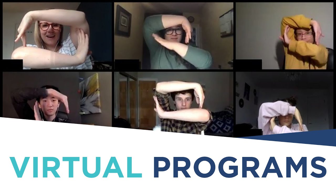 Virtual Programs
